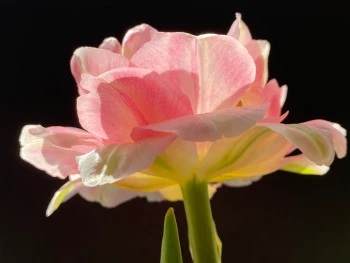 Claudia Schröder Photoart
