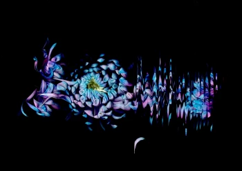 Claudia Schröder Photoart - Flowers