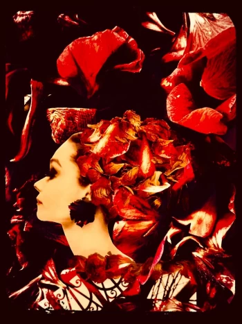 Claudia Schröder Photoart Collagen